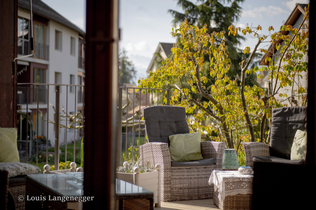 Blick in den Garten